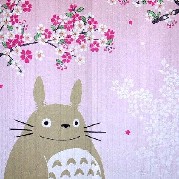 Sakura_Totoro