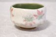 Photo3: Mino ware Japanese pottery tea ceremony bowl Matcha chawan maple momiji noten 