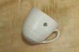 Photo1: Shigaraki ware Japanese pottery tea mug coffee cup kobiki line hai 300ml (1)