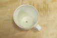 Photo3: Shigaraki ware Japanese pottery tea mug coffee cup kobiki line hai 300ml (3)