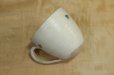 Photo4: Shigaraki ware Japanese pottery tea mug coffee cup kobiki line hai 300ml (4)