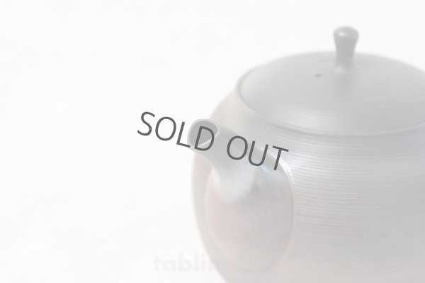 Photo4: Tokoname yaki ware Japanese tea pot Gyokko ceramic tea strainer hogama 480ml