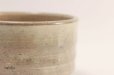 Photo4: Tokoname ware tea bowl Tansetu Hakeme chawan Matcha Green Tea Japanese (4)