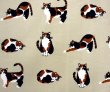 Photo4: Noren Japanese Curtain Doorway NM SD mike miyake neko cat 85 x 120 cm  (4)