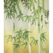 Photo2: Kyoto Noren MS Japanese door curtain Takebayashi Bamboos green 85 x 150cm (2)