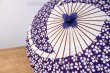 Photo2: Japanese umbrella bull's-eye Bangasa Wagasa bamboo arabesque design sakura navy (2)