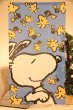 Photo1: Noren CSMO Japanese door curtain Snoopy & Woodstock aqua 85 x 150cm (1)