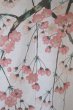 Photo2: Noren CSMO Japanese door curtain Shidare yaezakura white 85 x 150cm (2)