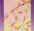 Photo2: Noren Japanese Curtain Doorway NM SD purple window sakura cherry 85 x 150 cm (2)