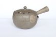 Photo2: Tokoname pottery YT Japanese tea pot kyusu yakishime Yutaka karakusa 300ml (2)