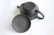 Photo4: Tokoname Japanese tea pot Gyokuryu ceramic tea strainer tsumami-w black 290ml (4)