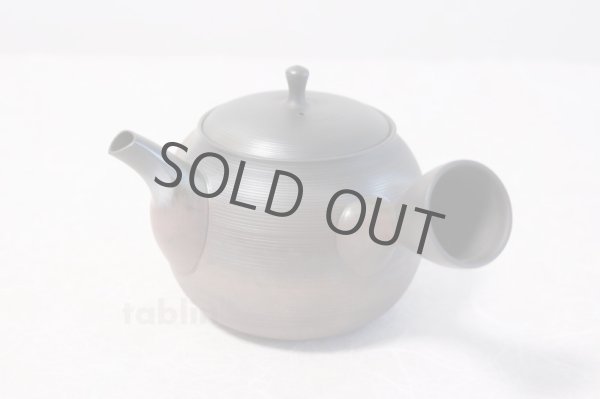 Photo1: Tokoname yaki ware Japanese tea pot Gyokko ceramic tea strainer hogama 480ml (1)