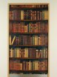 Photo2: Noren Japanese Curtain Doorway NM SD tapestry BOOK SHELF 85 x 150 cm  (2)