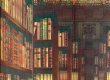 Photo3: Noren Japanese Curtain Doorway NM SD tapestry library 85 x 150 cm  (3)