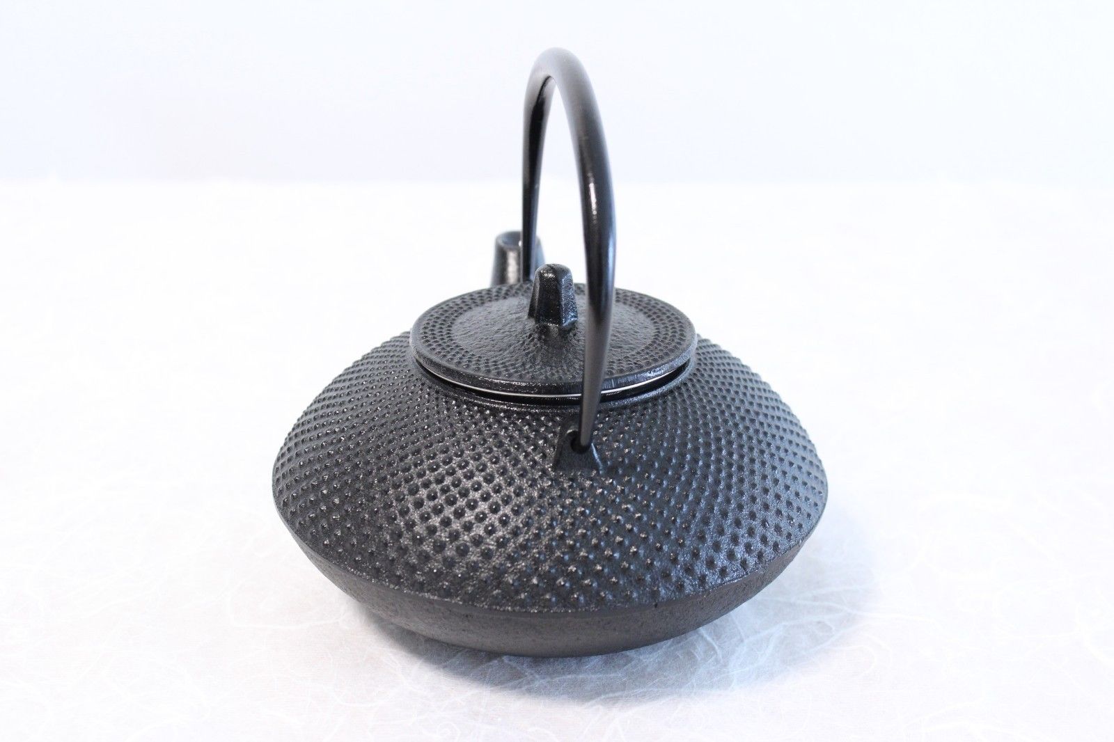 Ikenaga tetu Nambu Cast Iron Tetsukyusu Teapot