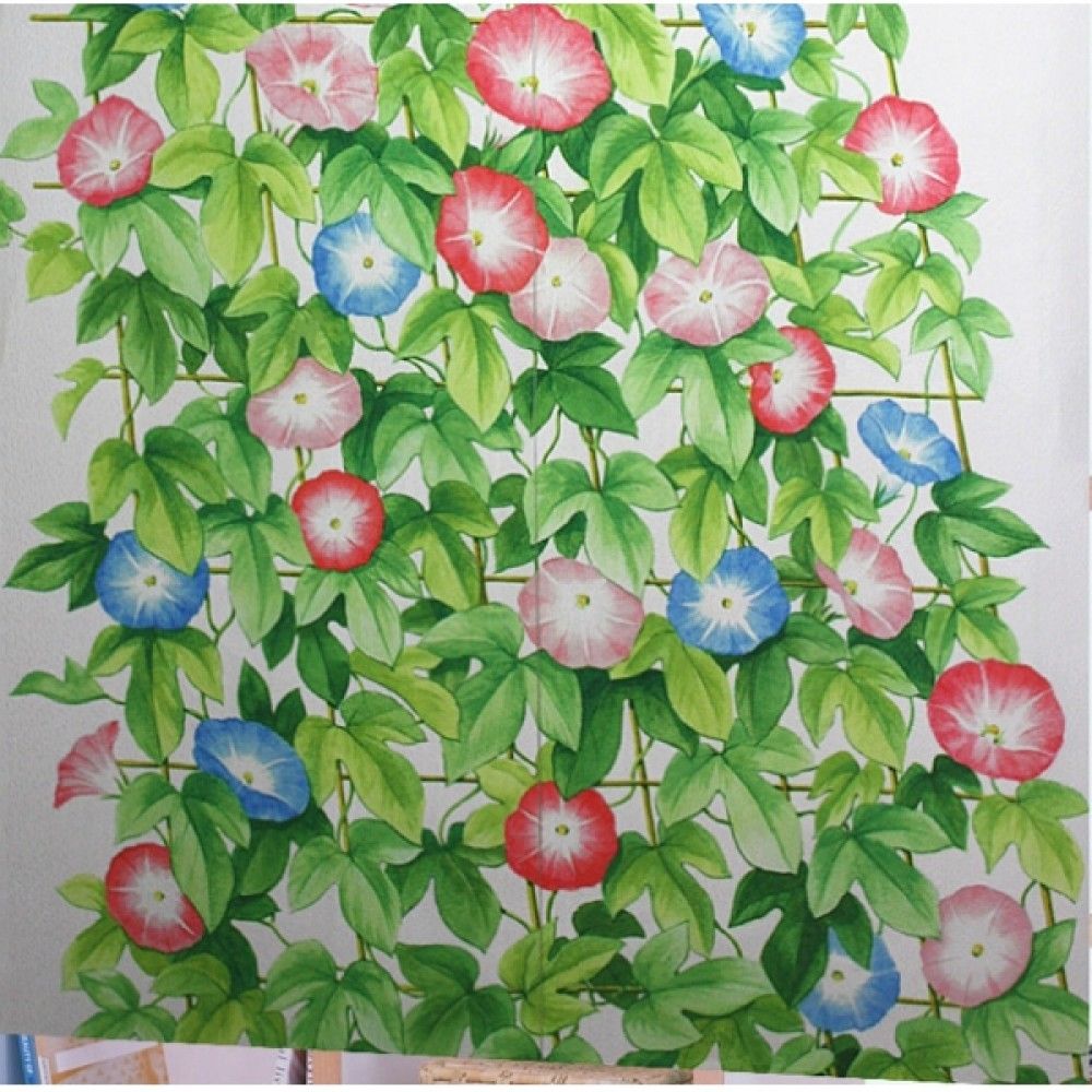 Japanese Summer Florals (Morning Glory / Asagao) Wrapping Paper by