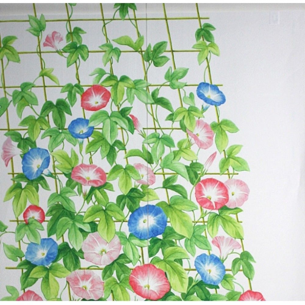 Kyoto Noren Ms Japanese Door Curtain Asagao Morning Glory Green 85 X 150cm Tablinstore